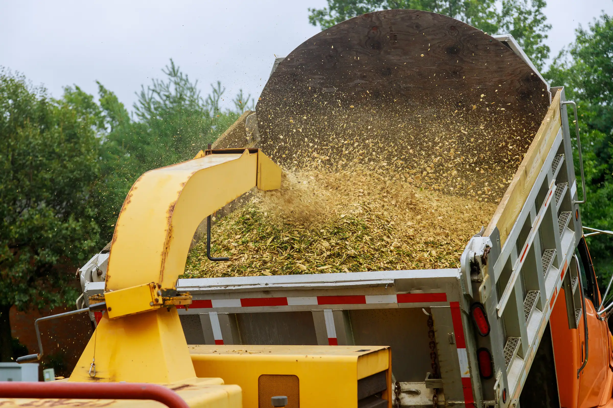 Landscaping & Tree Care